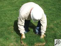 Restoring the landscaping by replacing removed sod on the ground for a Brookside home.