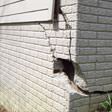 foundation walls cracked due to settlement in Wilmington