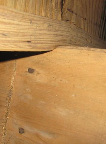 severe damage to a crawl space structure in a Claymont home